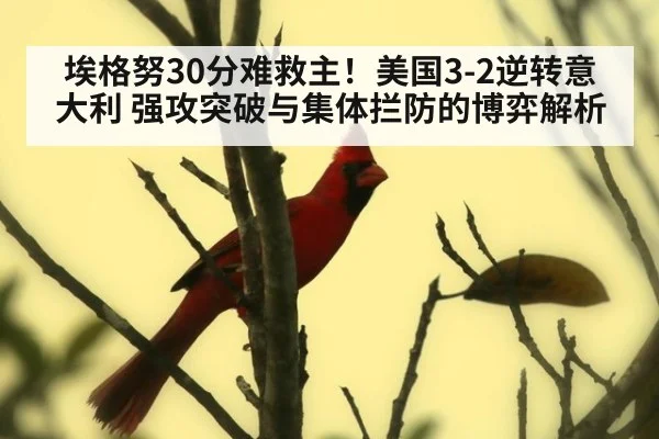 埃格努30分难救主！美国3-2逆转意大利 强攻突破与集体拦防的博弈解析（kaiyun）