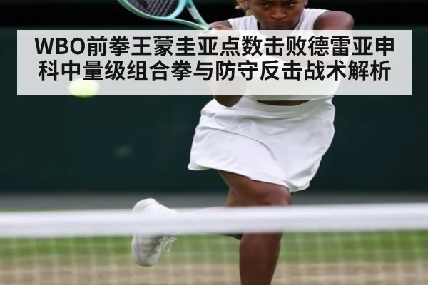 WBO前拳王蒙圭亚点数击败德雷亚申科中量级组合拳与防守反击战术解析（kaiyun）